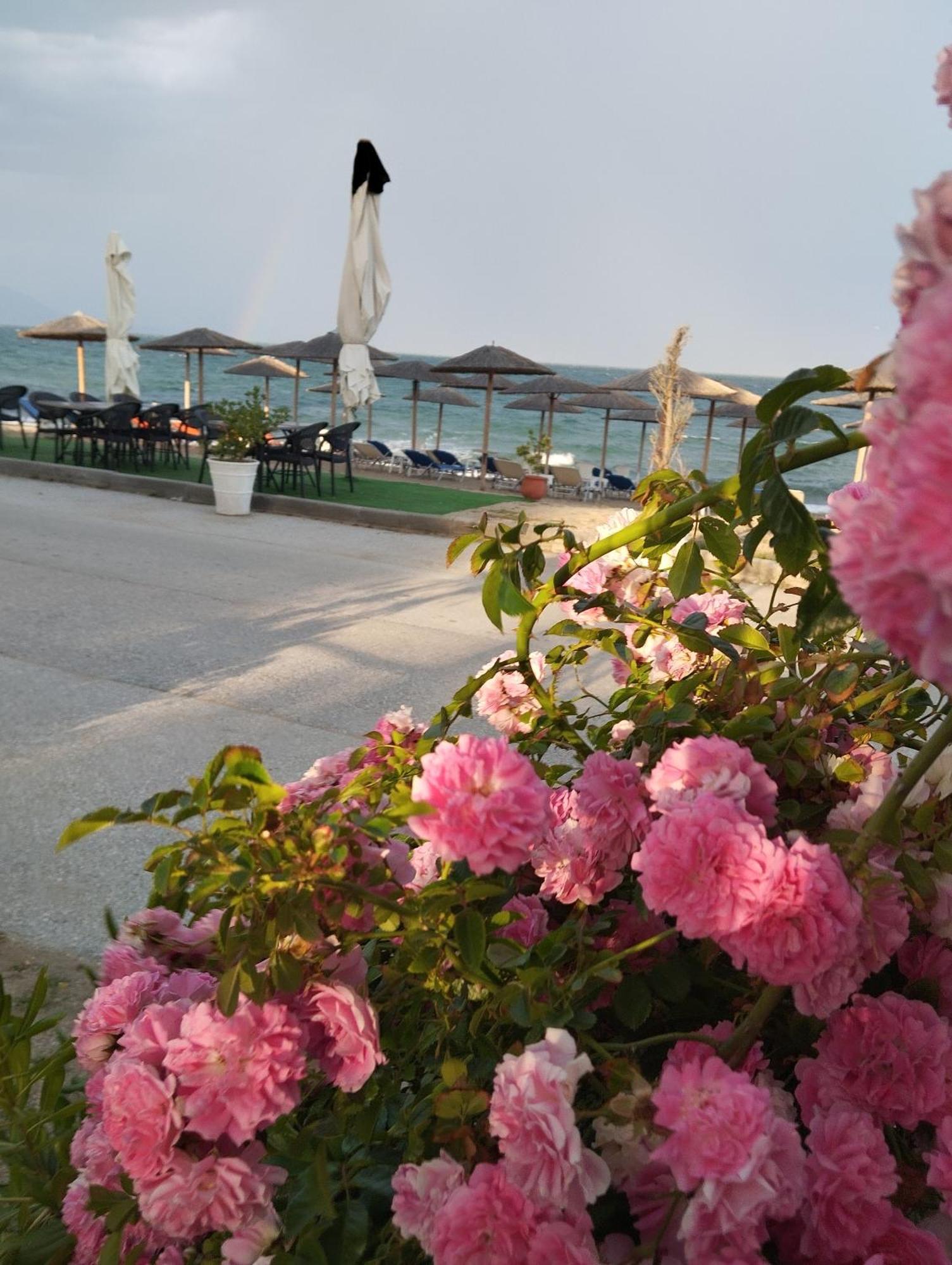 Bella Vista Apartments Nea Vrasna Bagian luar foto