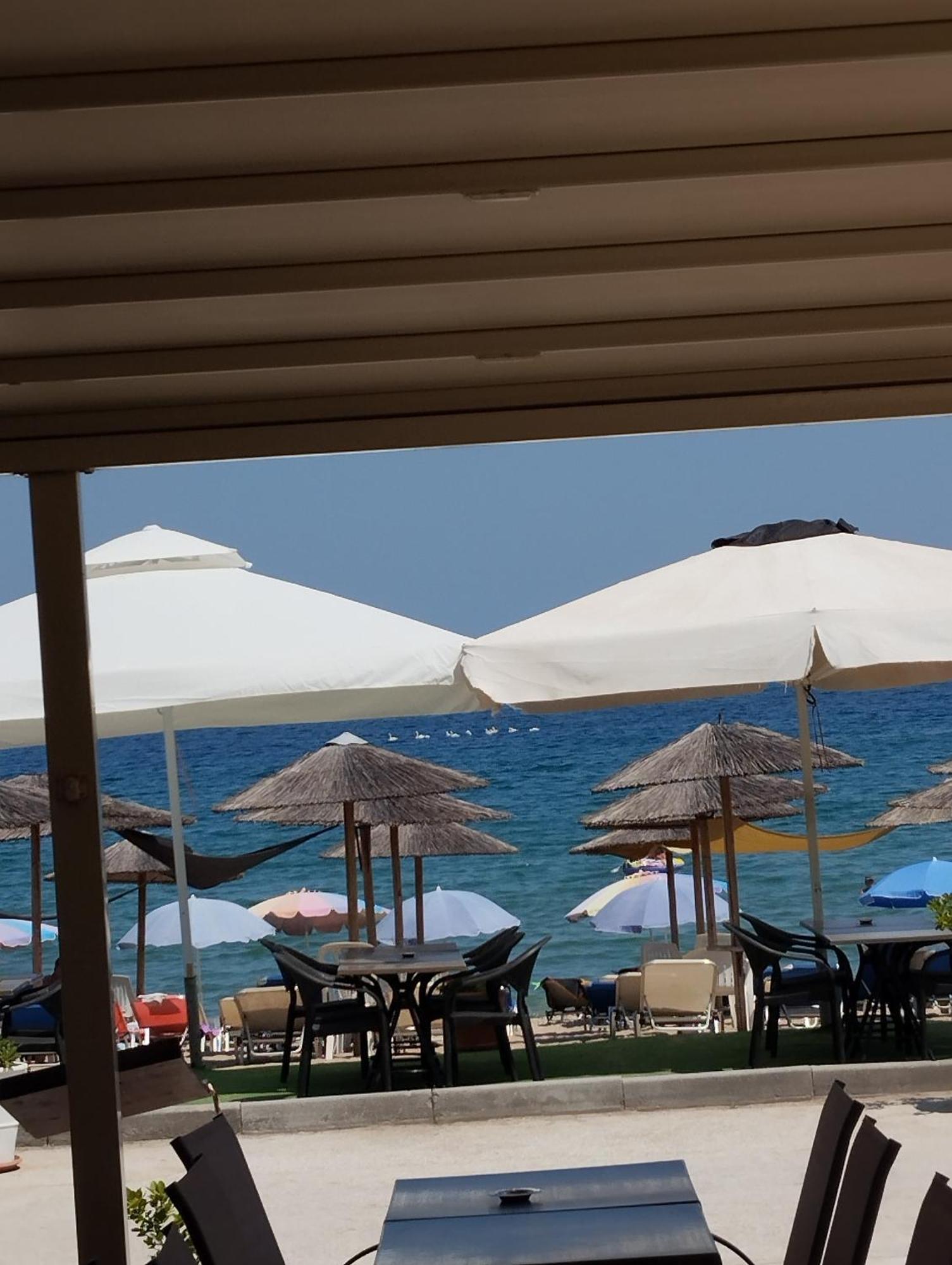 Bella Vista Apartments Nea Vrasna Bagian luar foto
